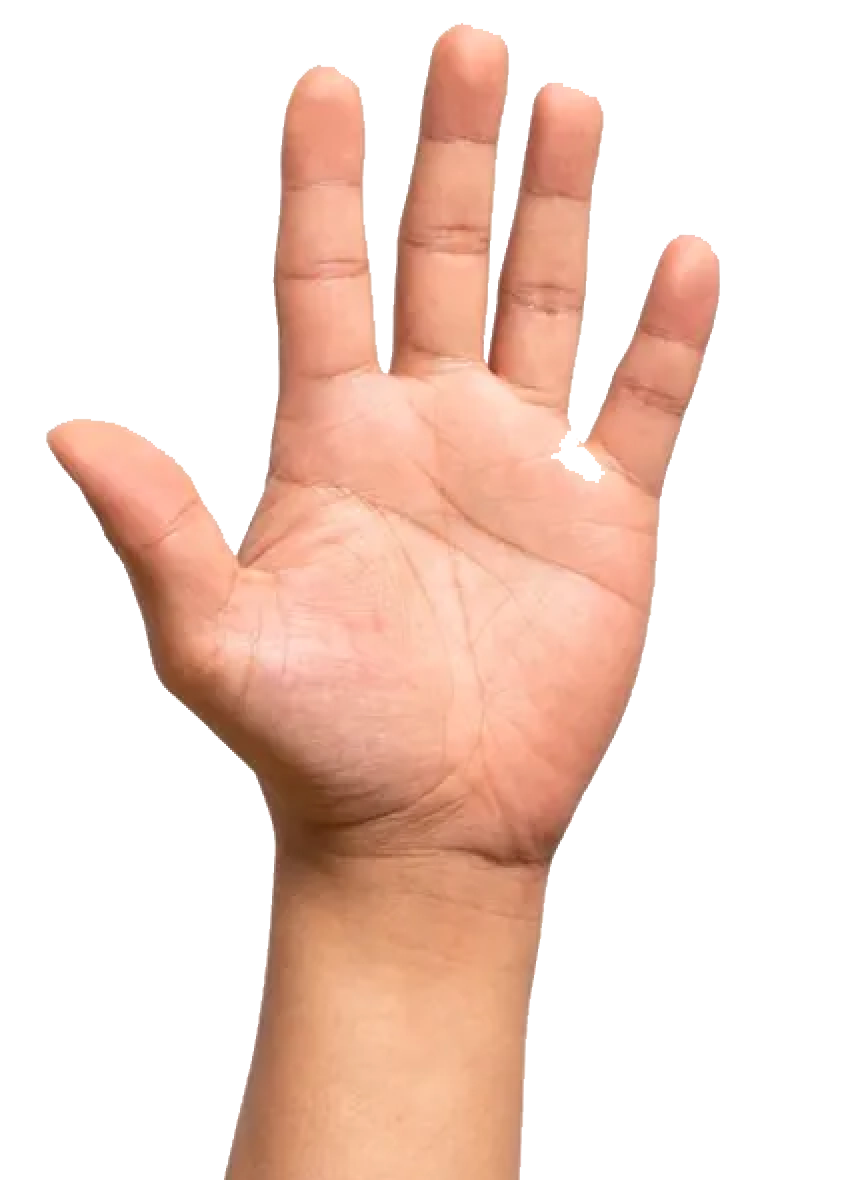 hand